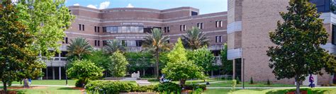 student health services unf.